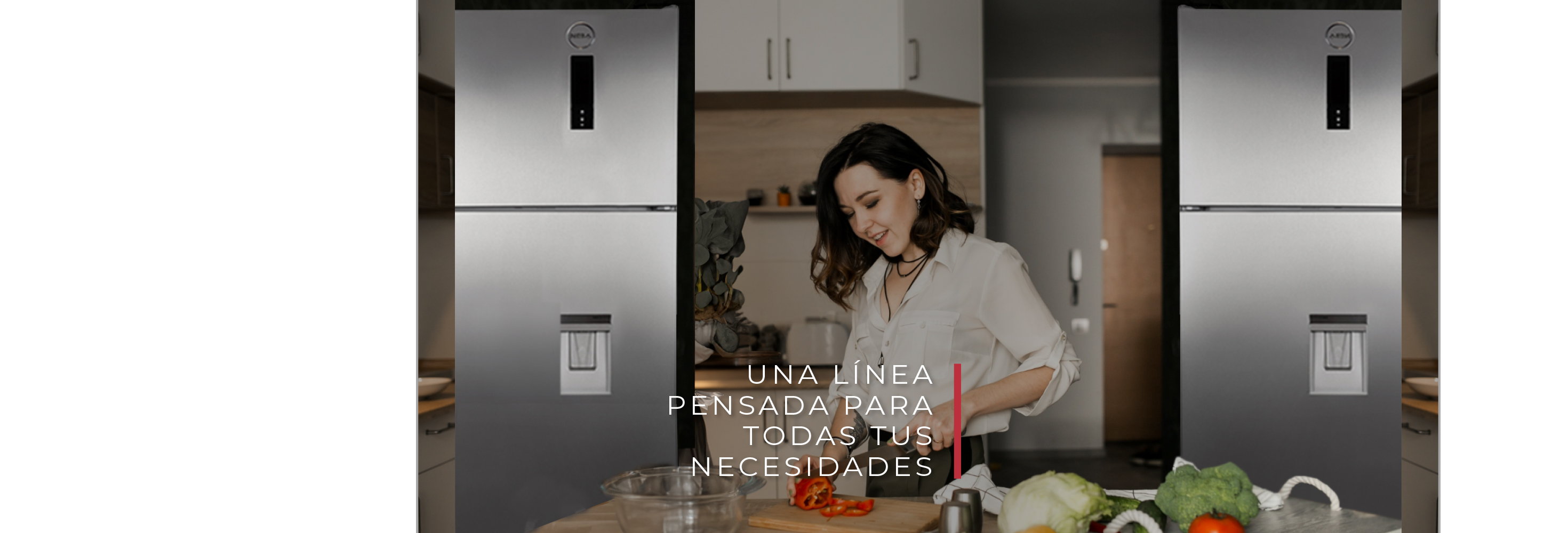 Fondo de las heladeras y freezers de tienda online