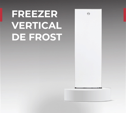 Freezer Vertical de Frost