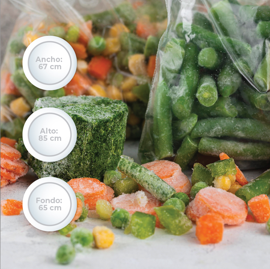 Freezer de pozo Modelo F180