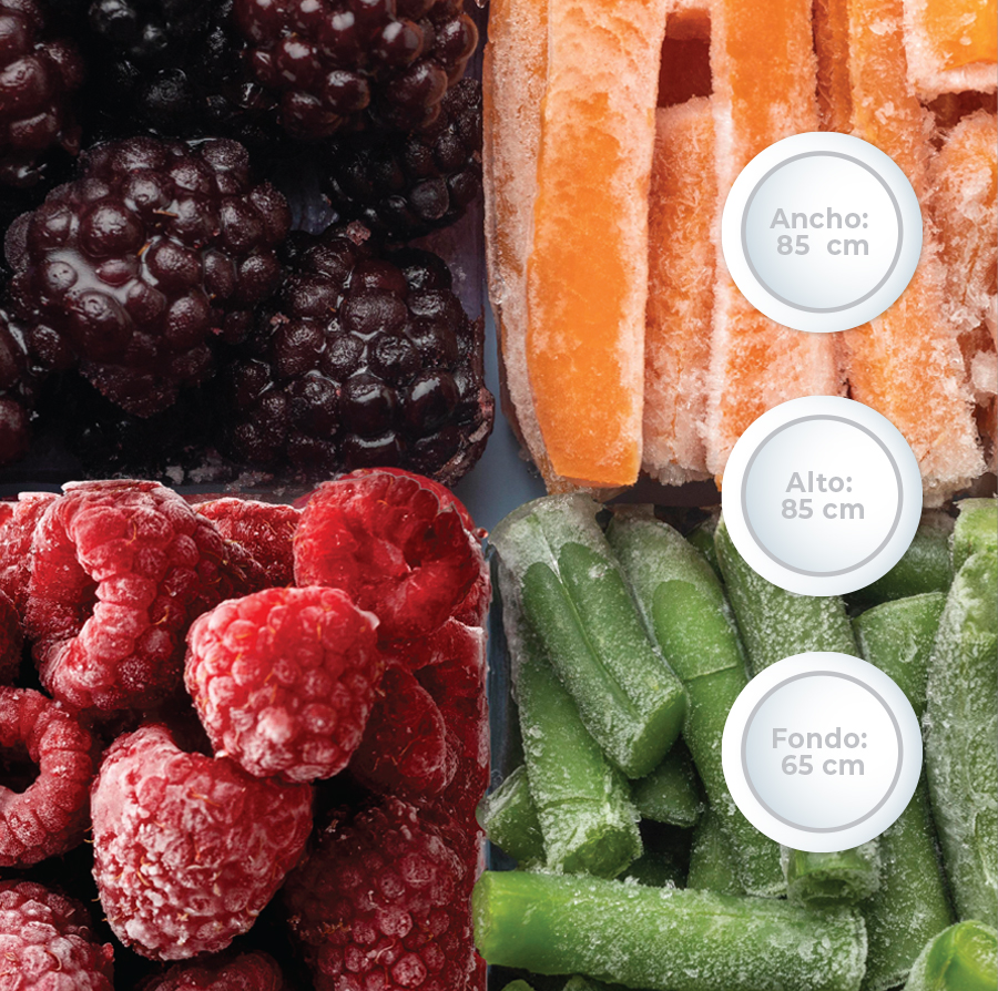 Freezer de pozo Modelo F250