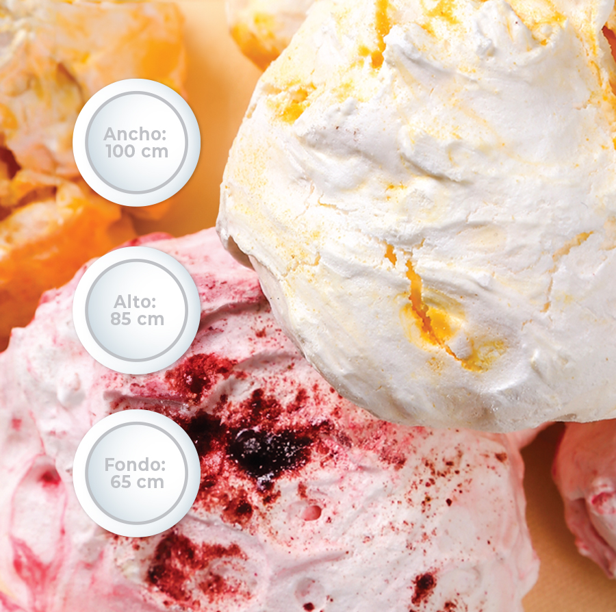 Freezer de pozo Modelo F310