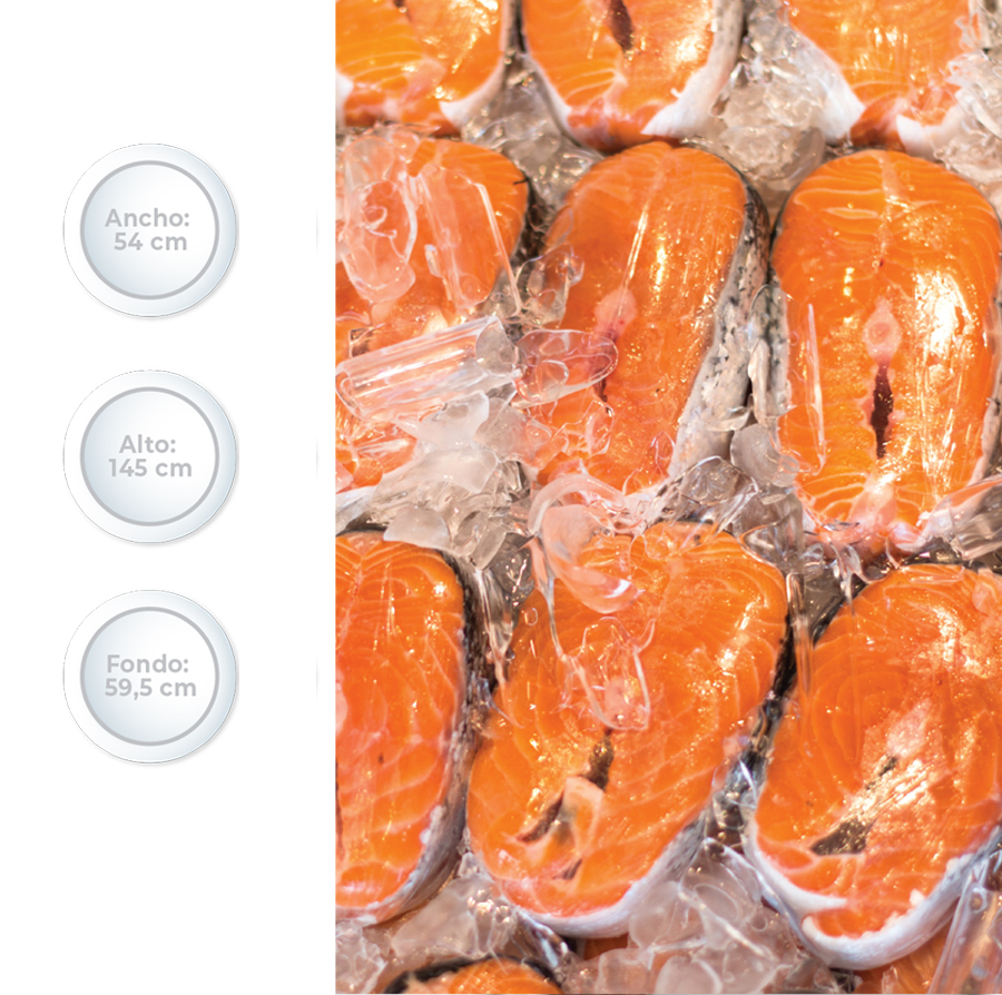 Freezer Vertical de Frost Modelo FV2451 pescado